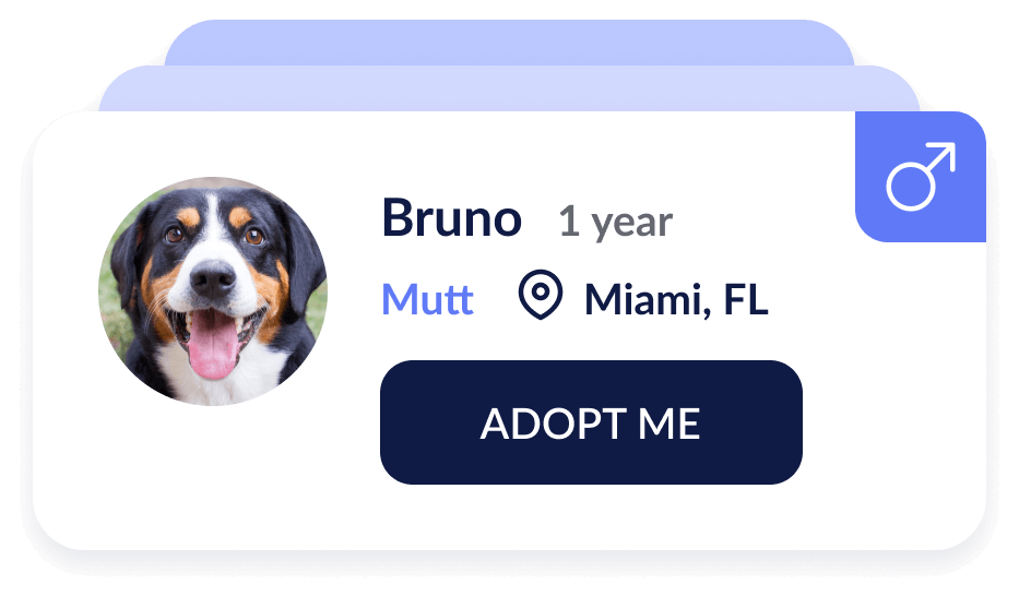 Find Your Fur-ever Friend and Give Back with Every Tab!