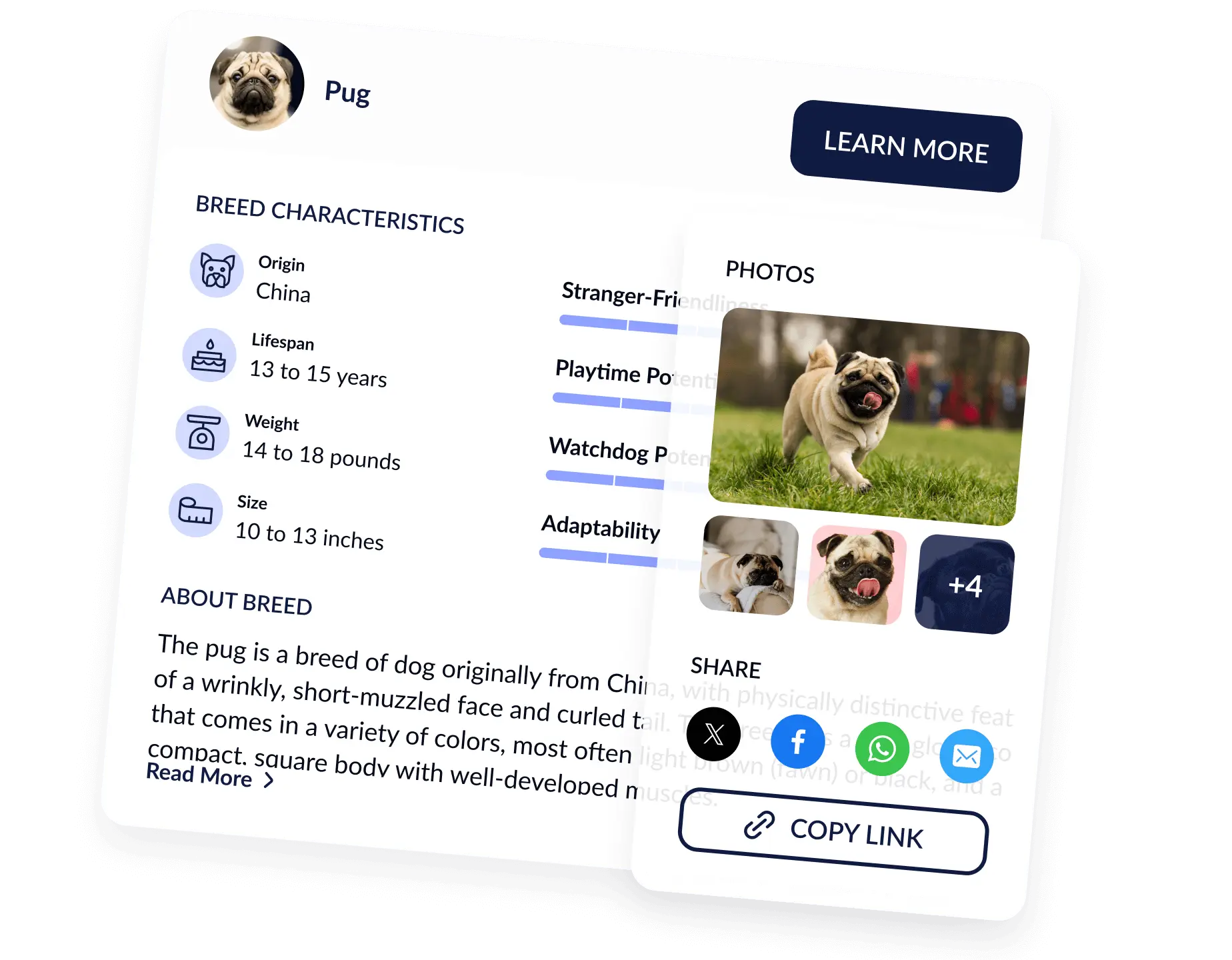 Top Best Extension: Browse and Learn