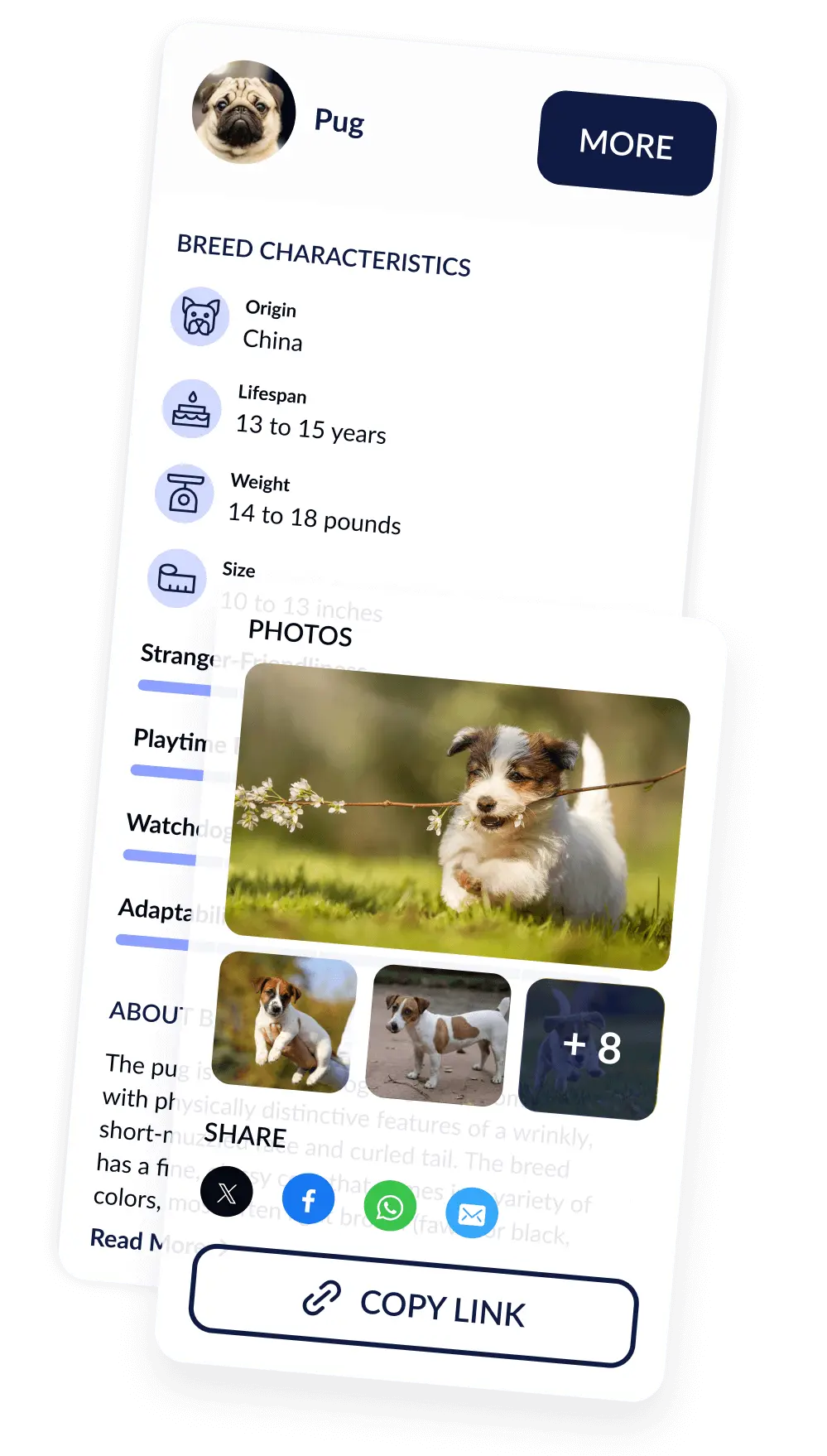 Top Best Extension: Browse and Learn