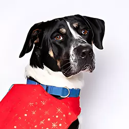 Matilda